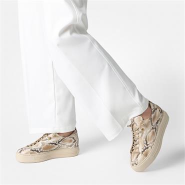 Paul Green Super Soft Platform Trainer - Beige Snake